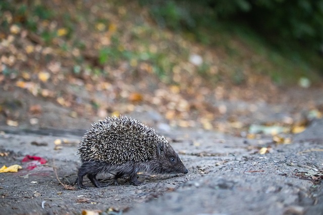 能力和灵活 能力和灵活