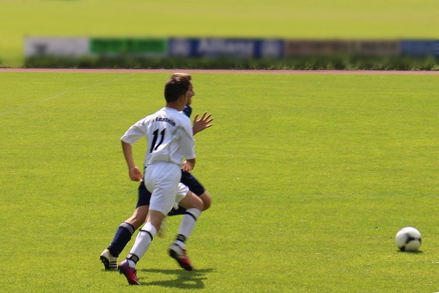 纷纷开设象 纷纷开设象