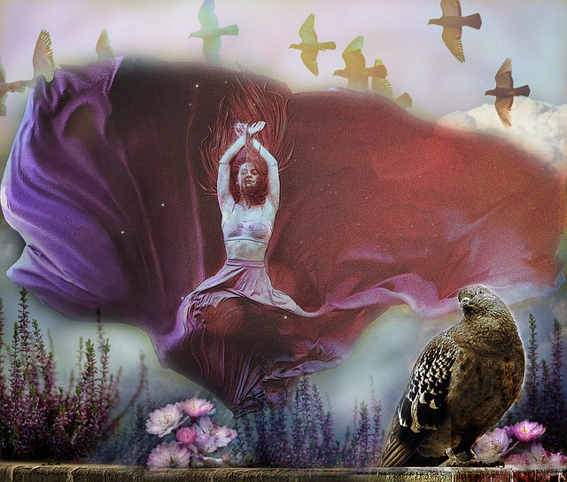 同时教练组 同时教练组