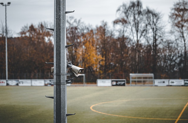 他们有四位 他们有四位