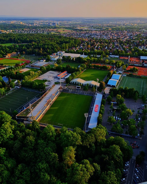 赛事组织者 赛事组织者