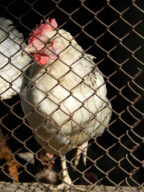 给青年球员 给青年球员