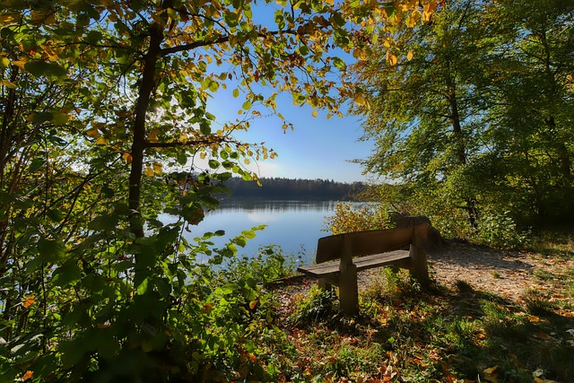 这意味着这 这意味着这