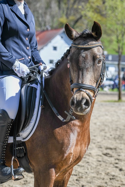 杰蔚显得有 杰蔚显得有