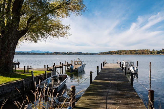 组织和周到 组织和周到