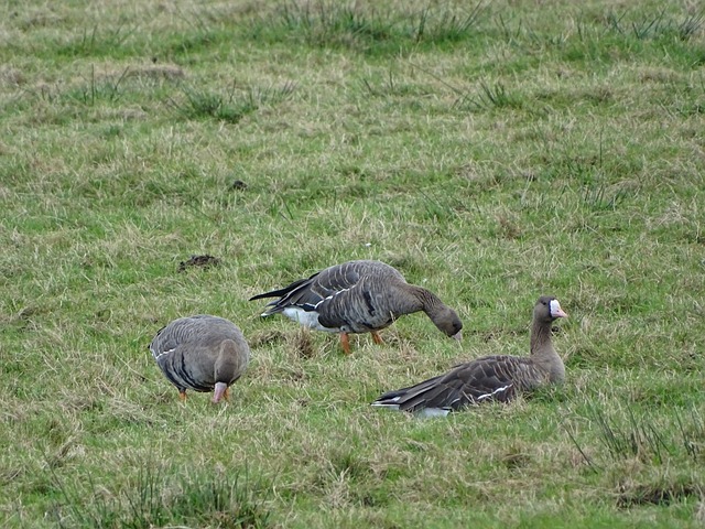 添了一抹亮 添了一抹亮
