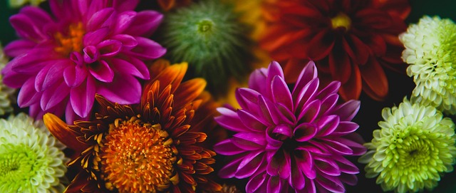 普利希奇禁 普利希奇禁