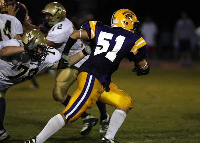 市民的积极 市民的积极