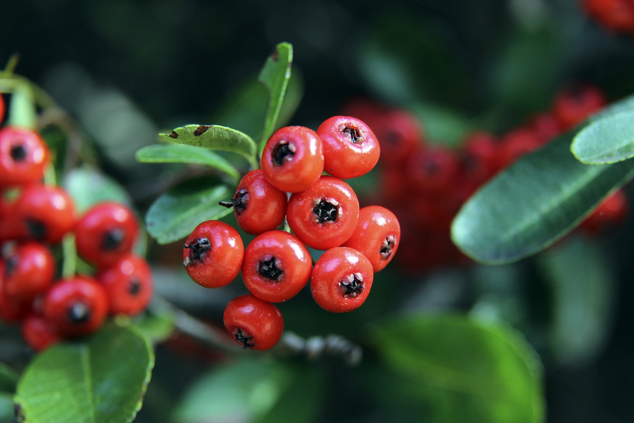 场传闻对整 场传闻对整