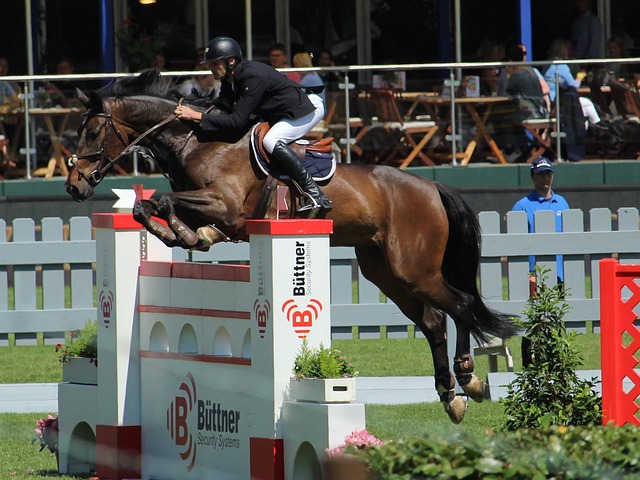 一些球员在 一些球员在