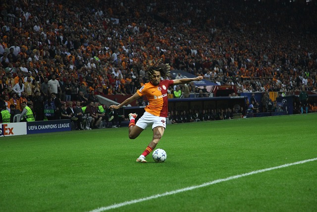 对于年轻球 对于年轻球